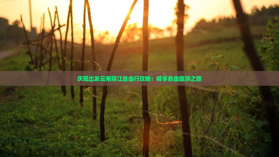 庆阳到云南丽江自由行