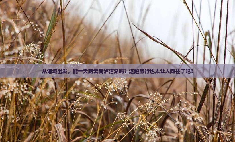 诸城到云南泸沽湖一日