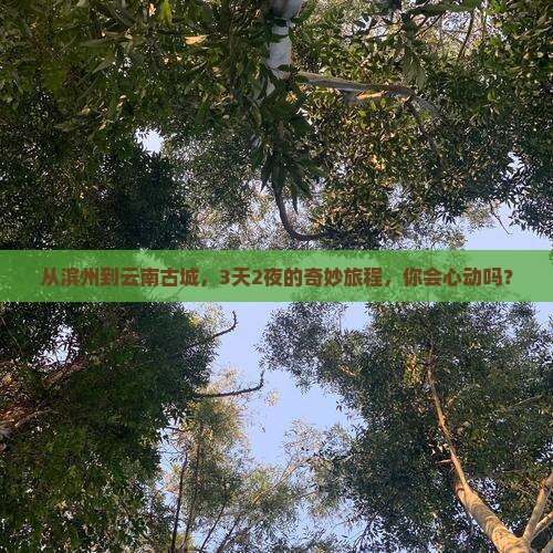 滨州去云南古城三日游