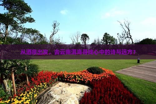 酒泉去云南洱海景点