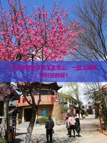 吐鲁番去云南玉龙雪山哪里玩