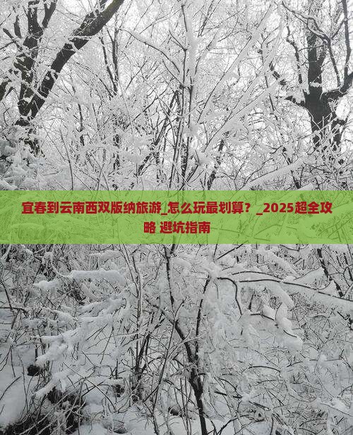宜春到云南西双版纳旅游