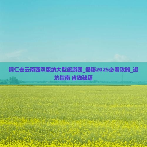 铜仁去云南西双版纳大型旅游团