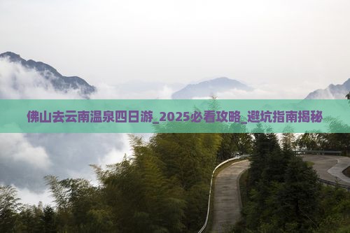 佛山去云南温泉四日游