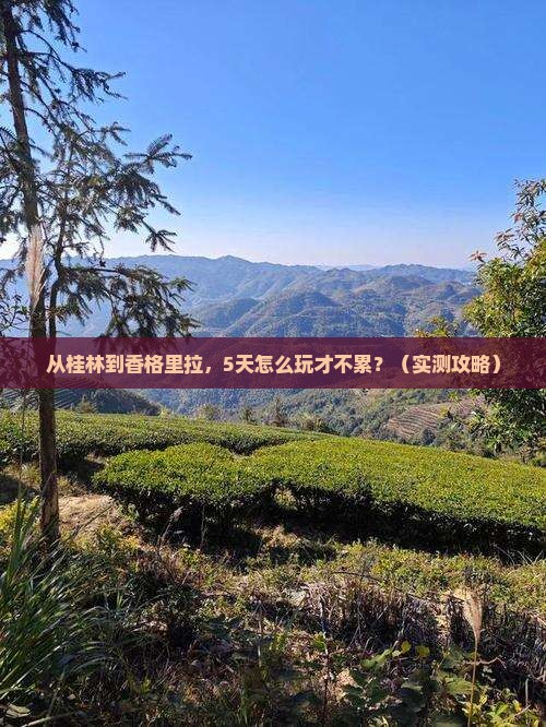 桂林去云南香格里拉景点
