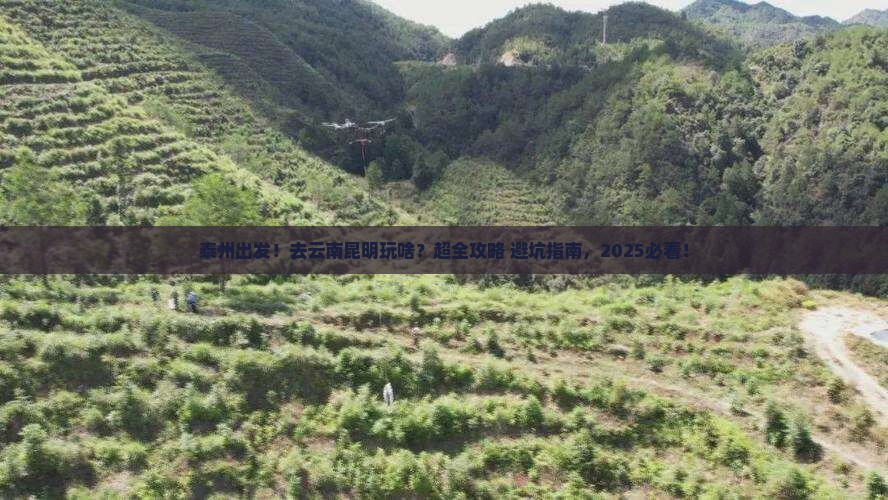 泰州去云南昆明大型旅游团