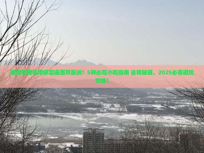 果洛去云南西双版纳旅游小吃