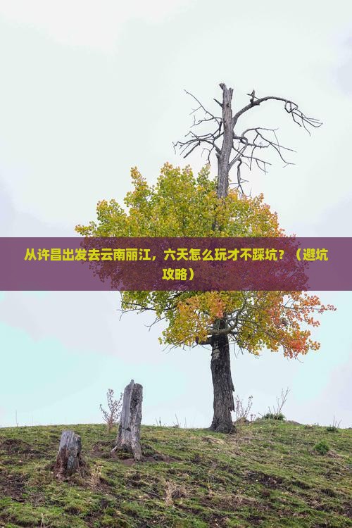 许昌去云南丽江六日游