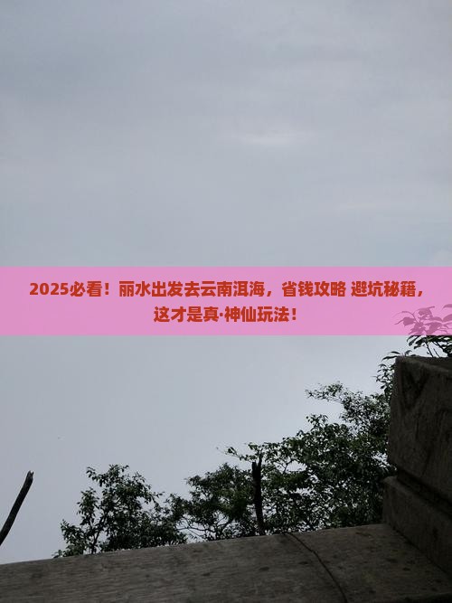丽水去云南洱海攻略