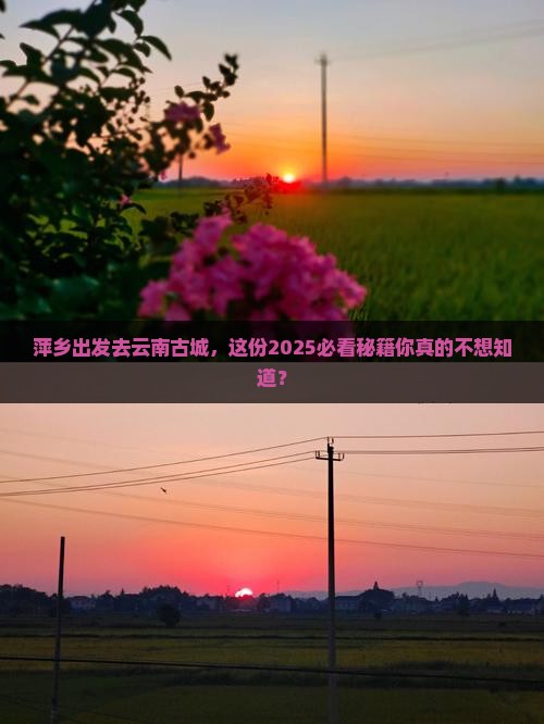 萍乡到云南古城哪里玩