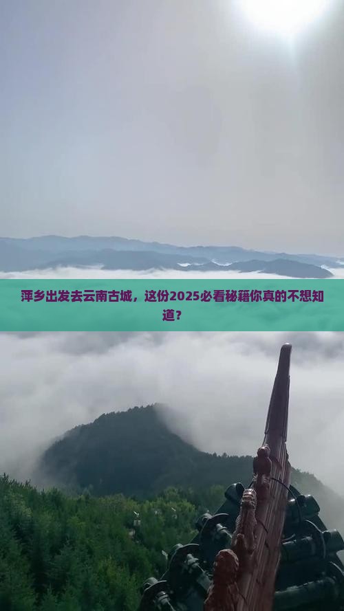 萍乡到云南古城哪里玩