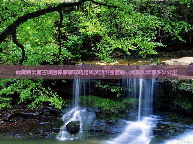 武威到云南古城团体旅游