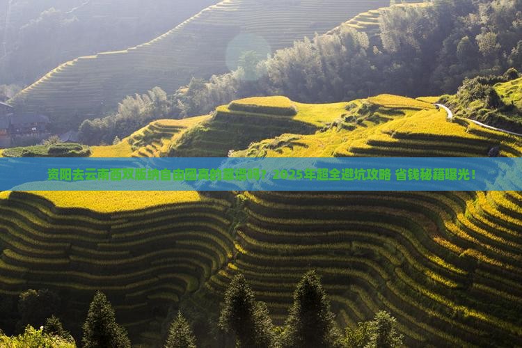 资阳去云南西双版纳自由团