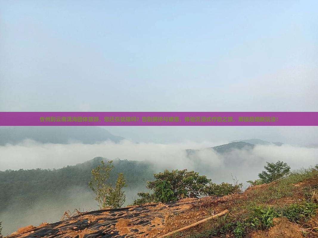 忻州到云南洱海团体旅游