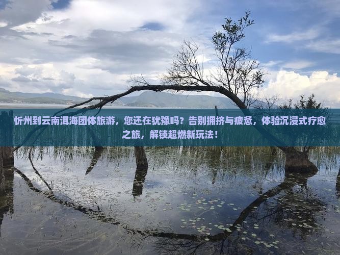忻州到云南洱海团体旅游