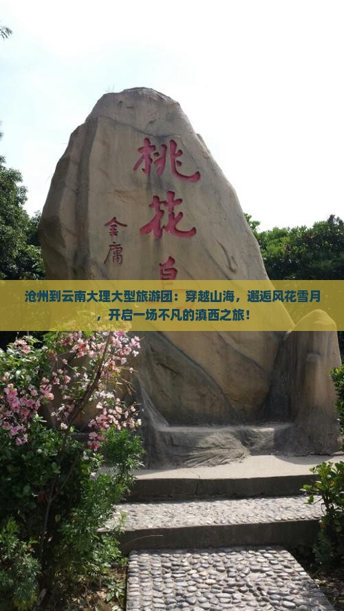 沧州到云南大理大型旅游团