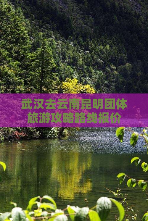 武汉去云南昆明团体旅游