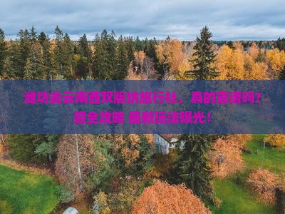 潍坊去云南西双版纳旅行社