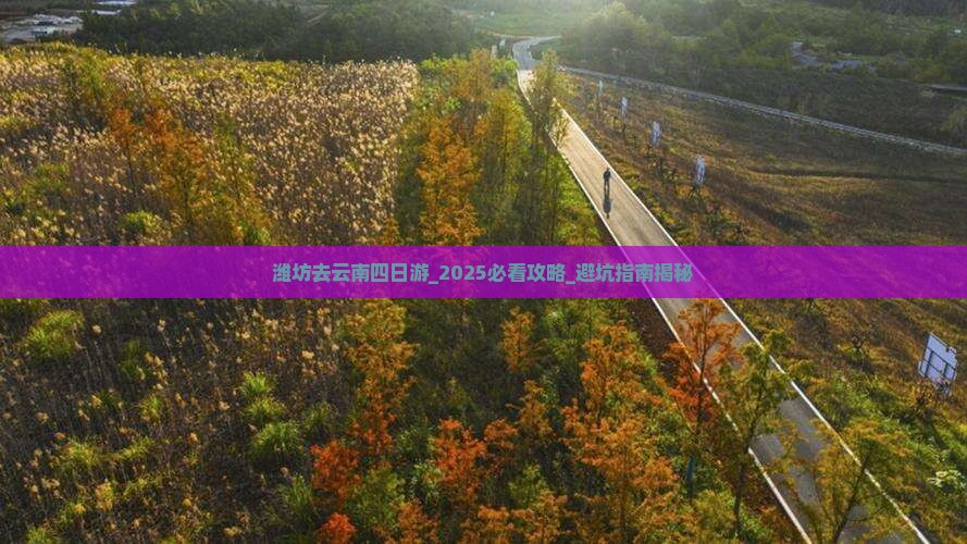 潍坊去云南四日游