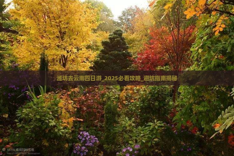 潍坊去云南四日游