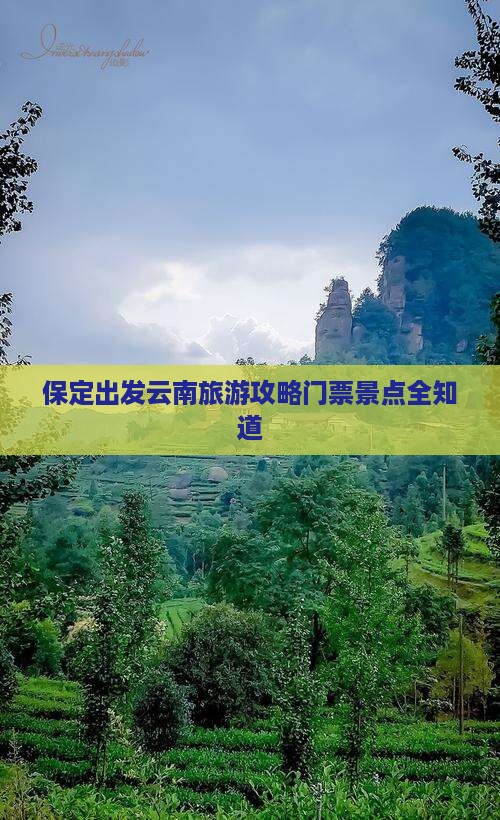 保定去云南门票