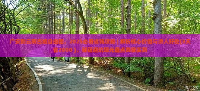 广安到云南古城自由团
