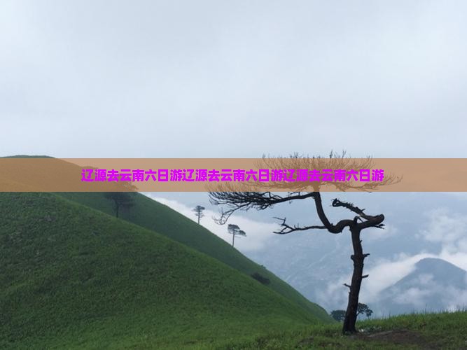 辽源去云南六日游