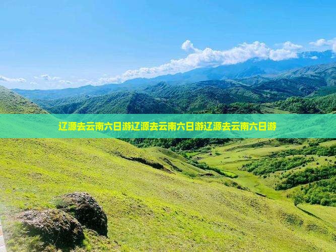 辽源去云南六日游
