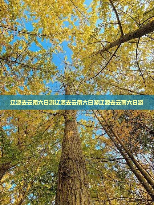 辽源去云南六日游