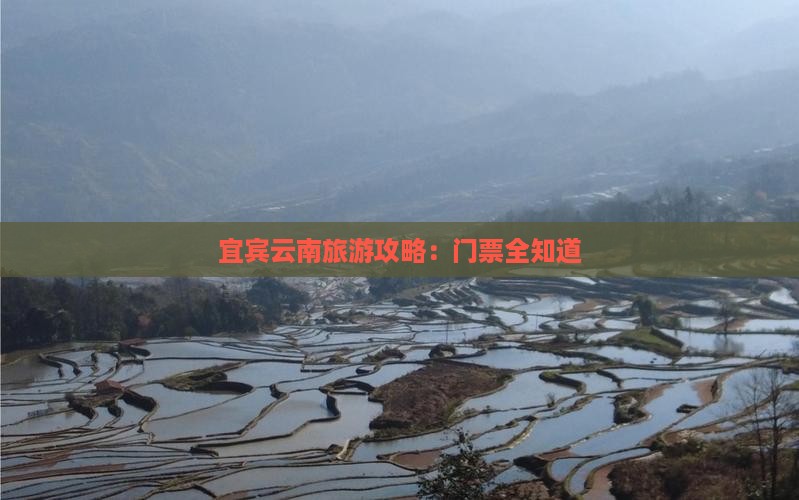 宜宾去云南门票