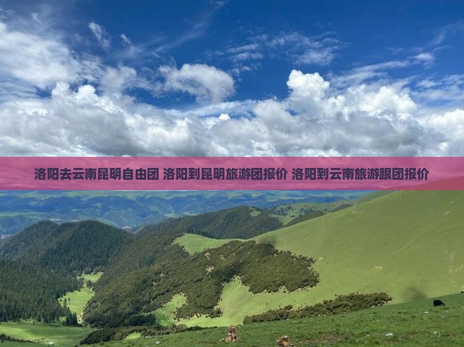 洛阳去云南昆明自由团