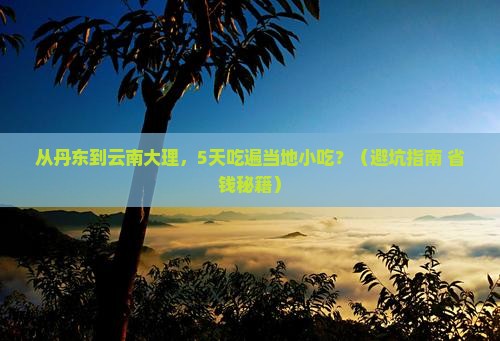 丹东去云南大理旅游小吃