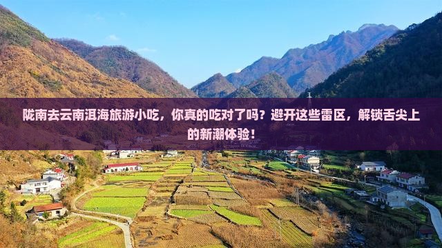 陇南去云南洱海旅游小吃