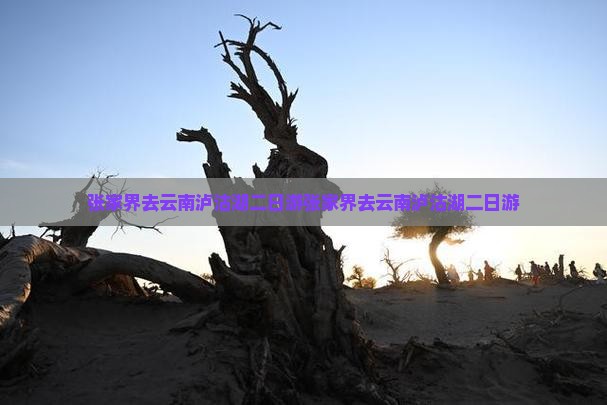 张家界去云南泸沽湖二日游