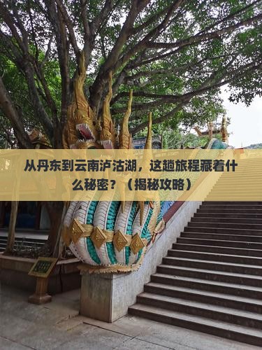 丹东到云南泸沽湖哪里玩