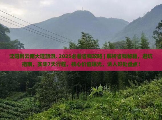 沈阳到云南大理旅游