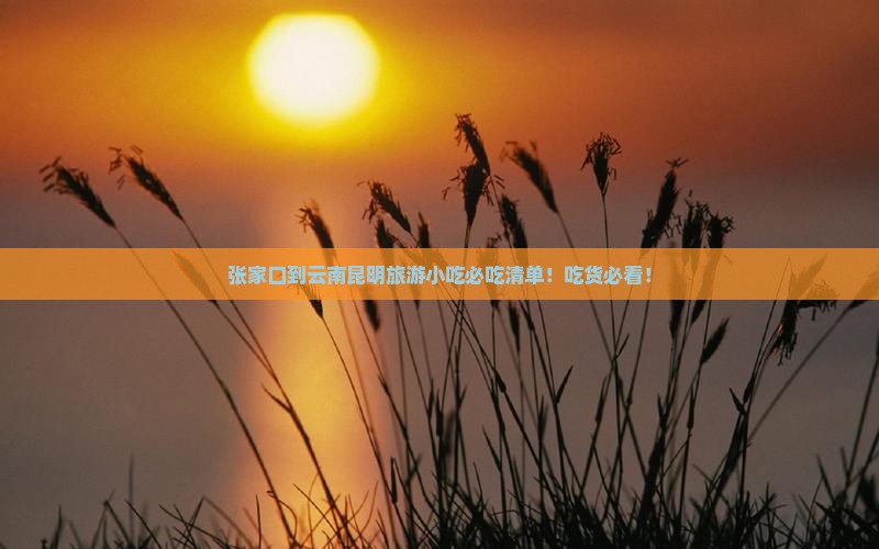 张家口到云南昆明旅游小吃