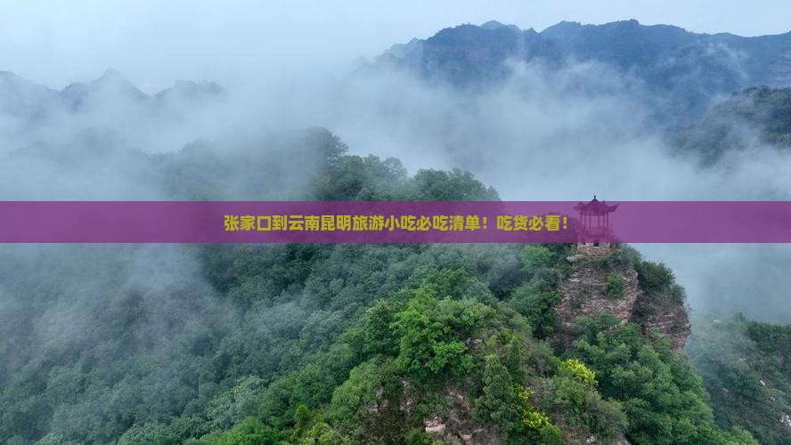 张家口到云南昆明旅游小吃