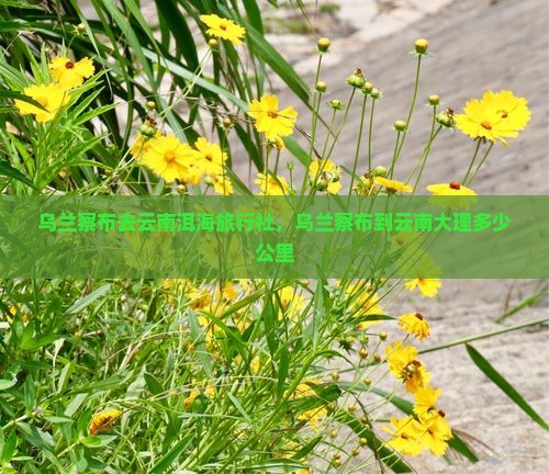 乌兰察布去云南洱海旅行社