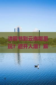 清明节到云南哪里玩