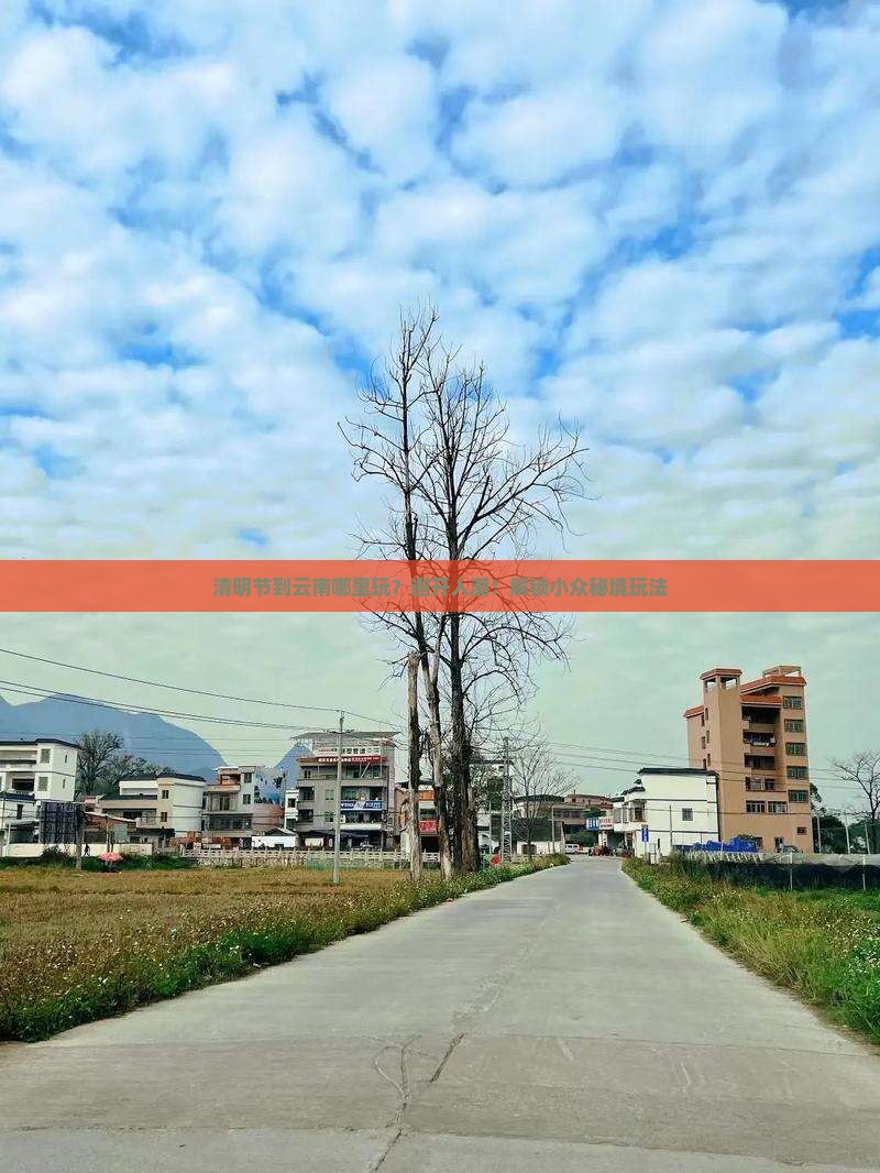 清明节到云南哪里玩