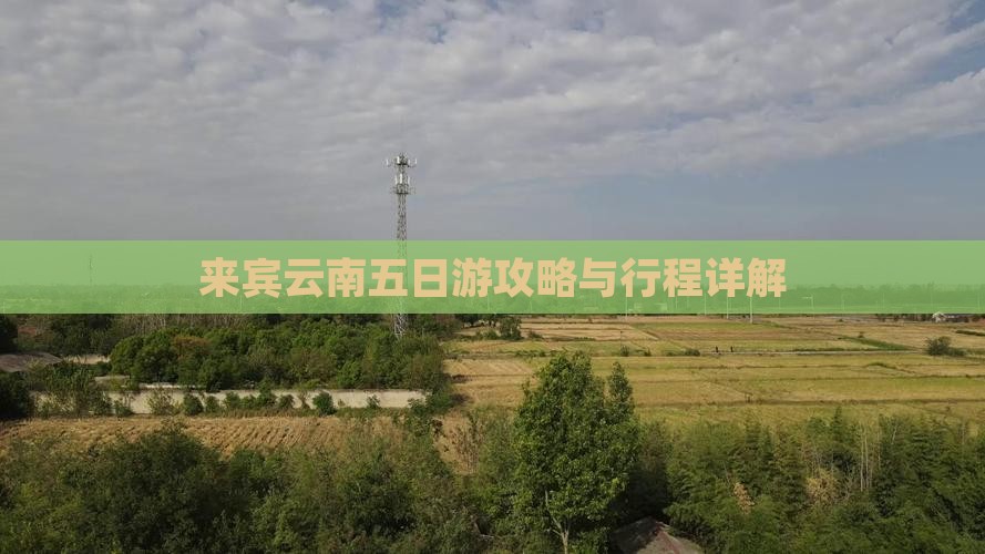 来宾到云南五日游