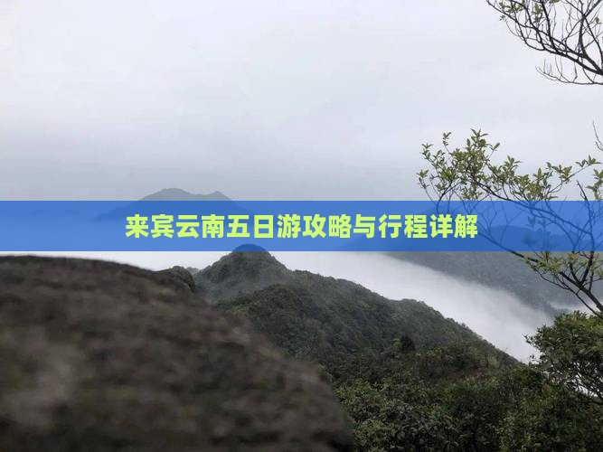 来宾到云南五日游