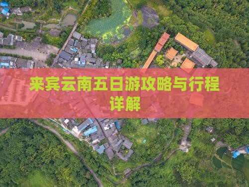 来宾到云南五日游