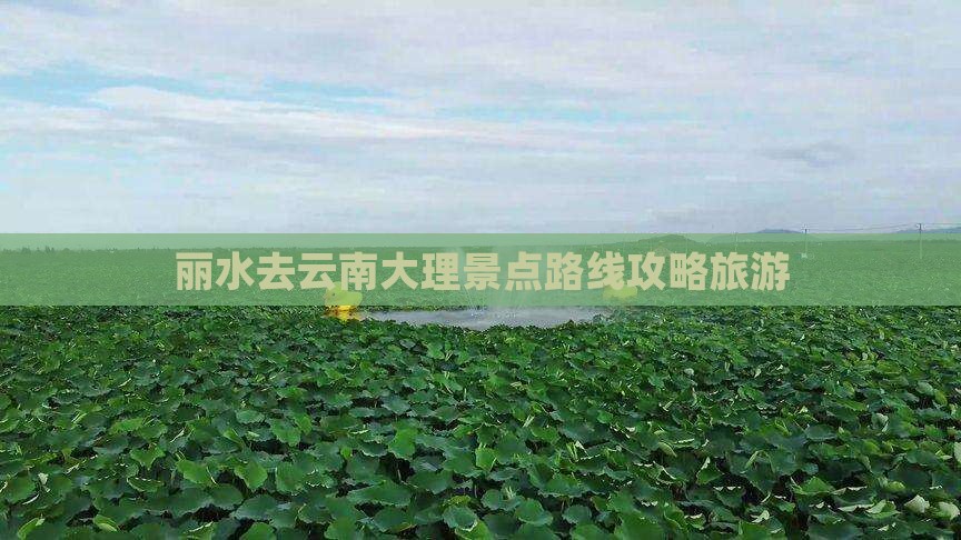 丽水去云南大理景点
