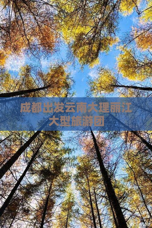 成都去云南大理大型旅游团
