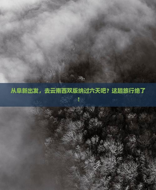 阜新到云南西双版纳六日游