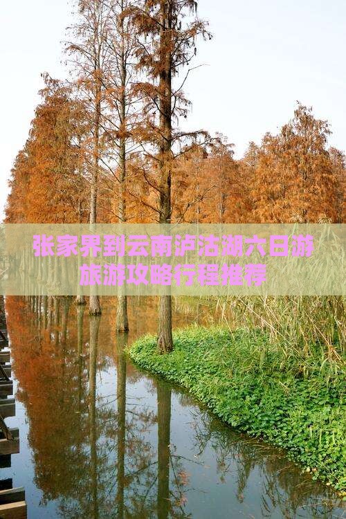 张家界去云南泸沽湖六日游