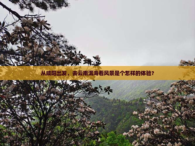 咸阳到云南洱海景点