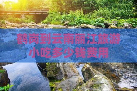 鹤岗到云南丽江旅游小吃